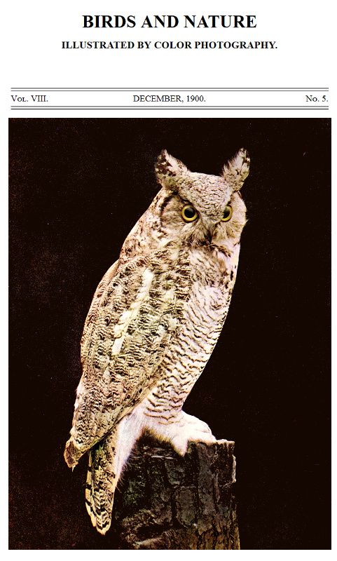 Birds and Nature, Vol. 08, No. 5, December 1900
Illustrated by Color Photography
