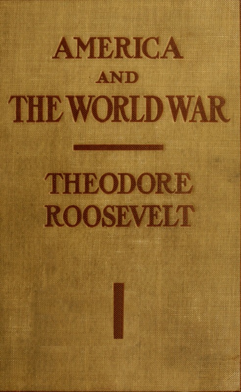 America and the World War