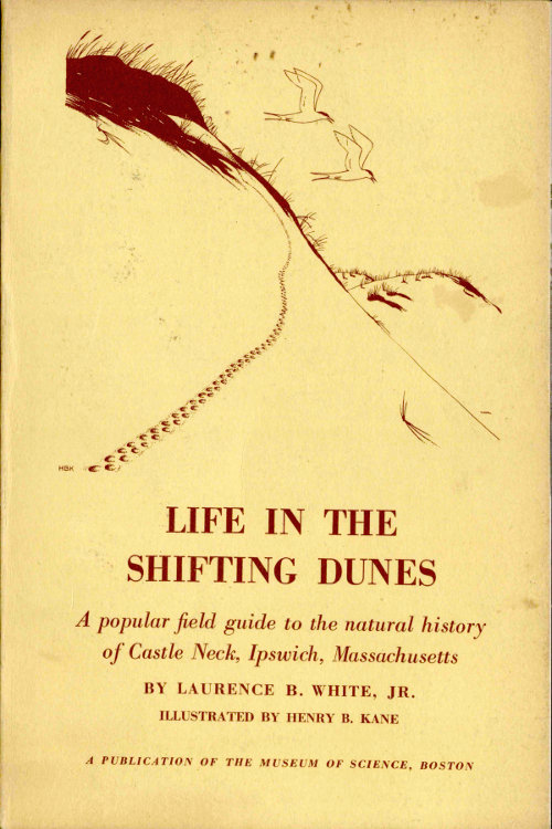 Life in the Shifting Dunes
A popular field guide to the natural history of Castle Neck, Ipswich, Massachusetts