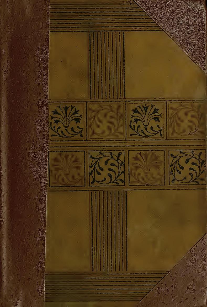 The New Abelard: A Romance, Volume 1 (of 3)