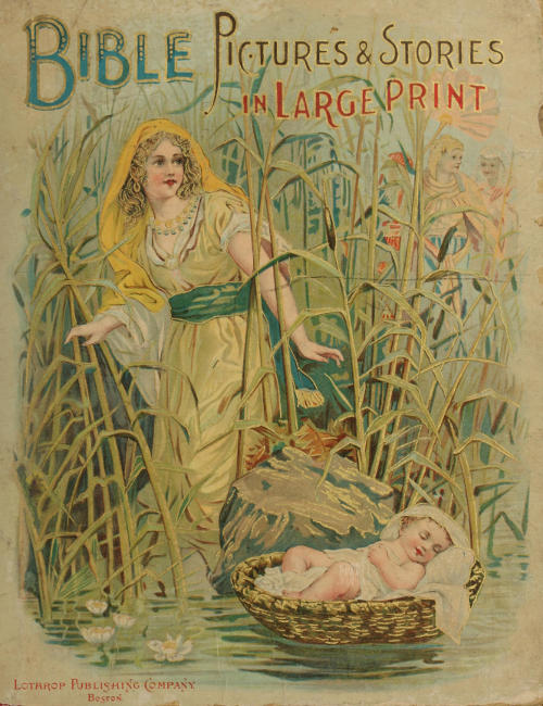 Bible Pictures and Stories in Large Print Bible Pictures and Stories in Large Print