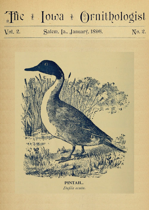 Iowa Ornithologist, Cilt 2, Sayı 2, Ocak 1896 - Kuşlar Öğrencisi için