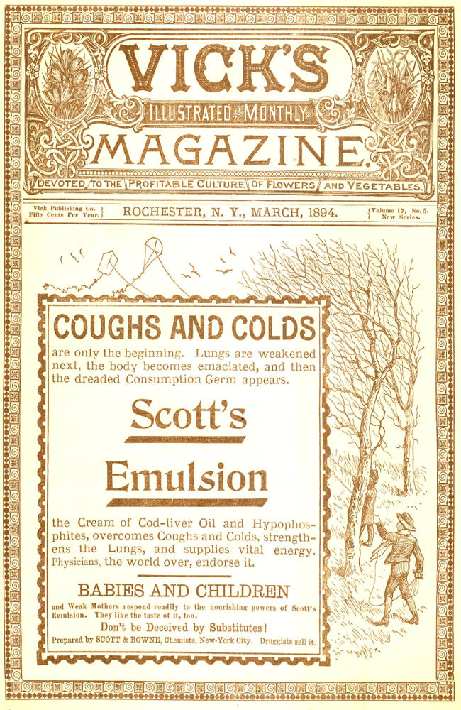 Vick's Illustrated Monthly Magazine, Volume 17, No. 5, March, 1894 Vick's Illustrated Monthly Magazine, Volume 17, No. 5, March, 1894