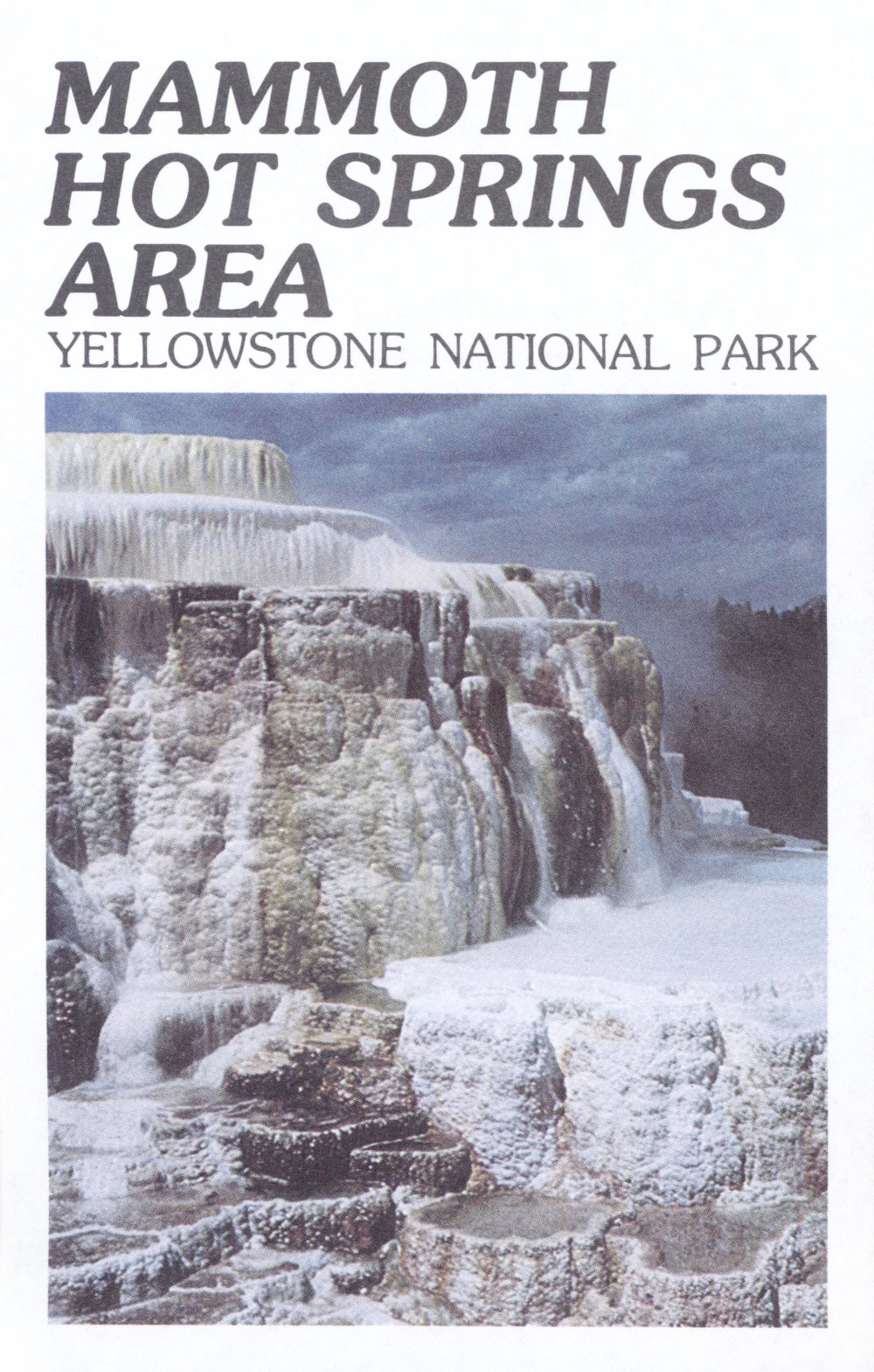 Mammoth Hot Springs Area: Yellowstone National Park
