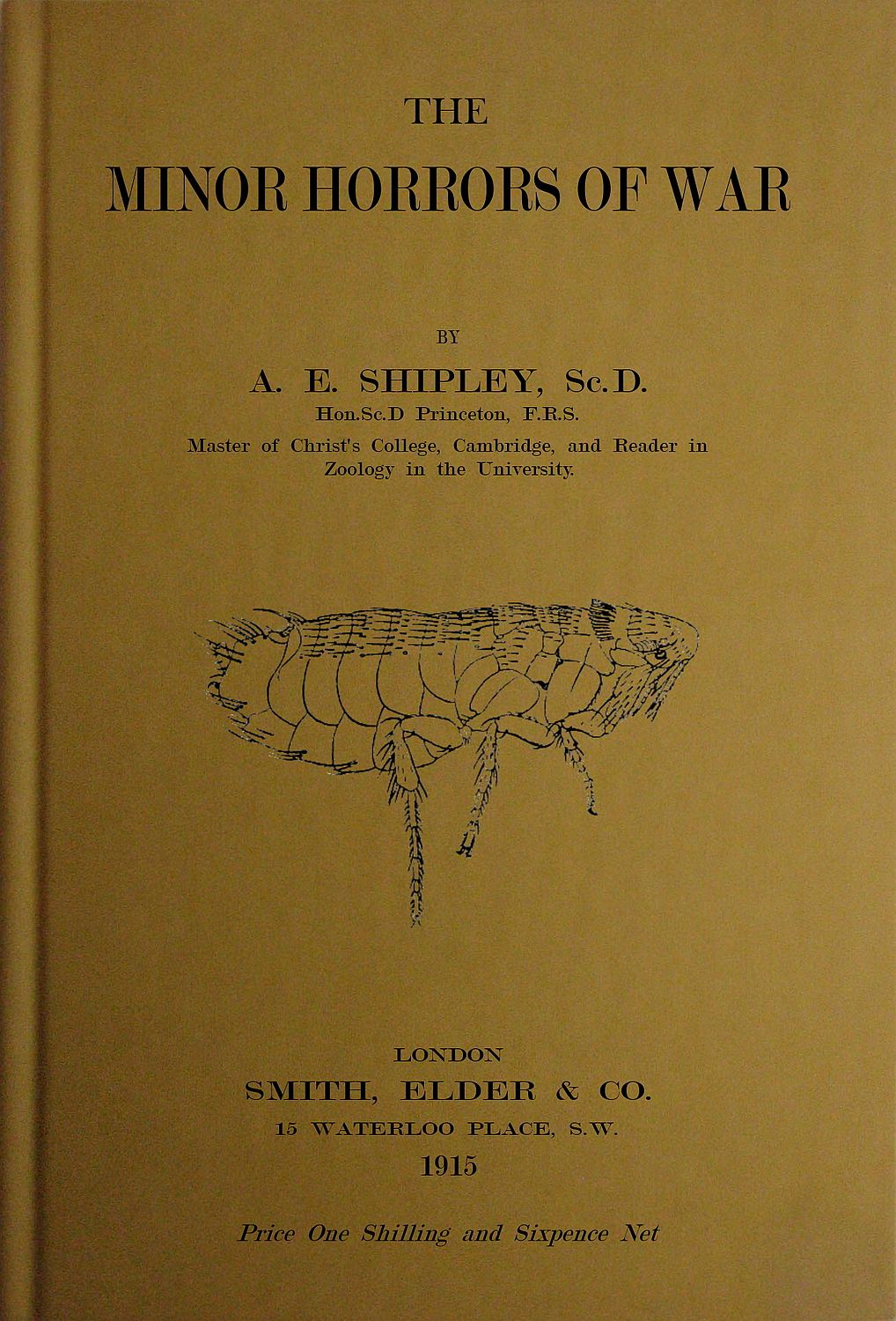 The Minor Horrors of War The Minor Horrors of War
