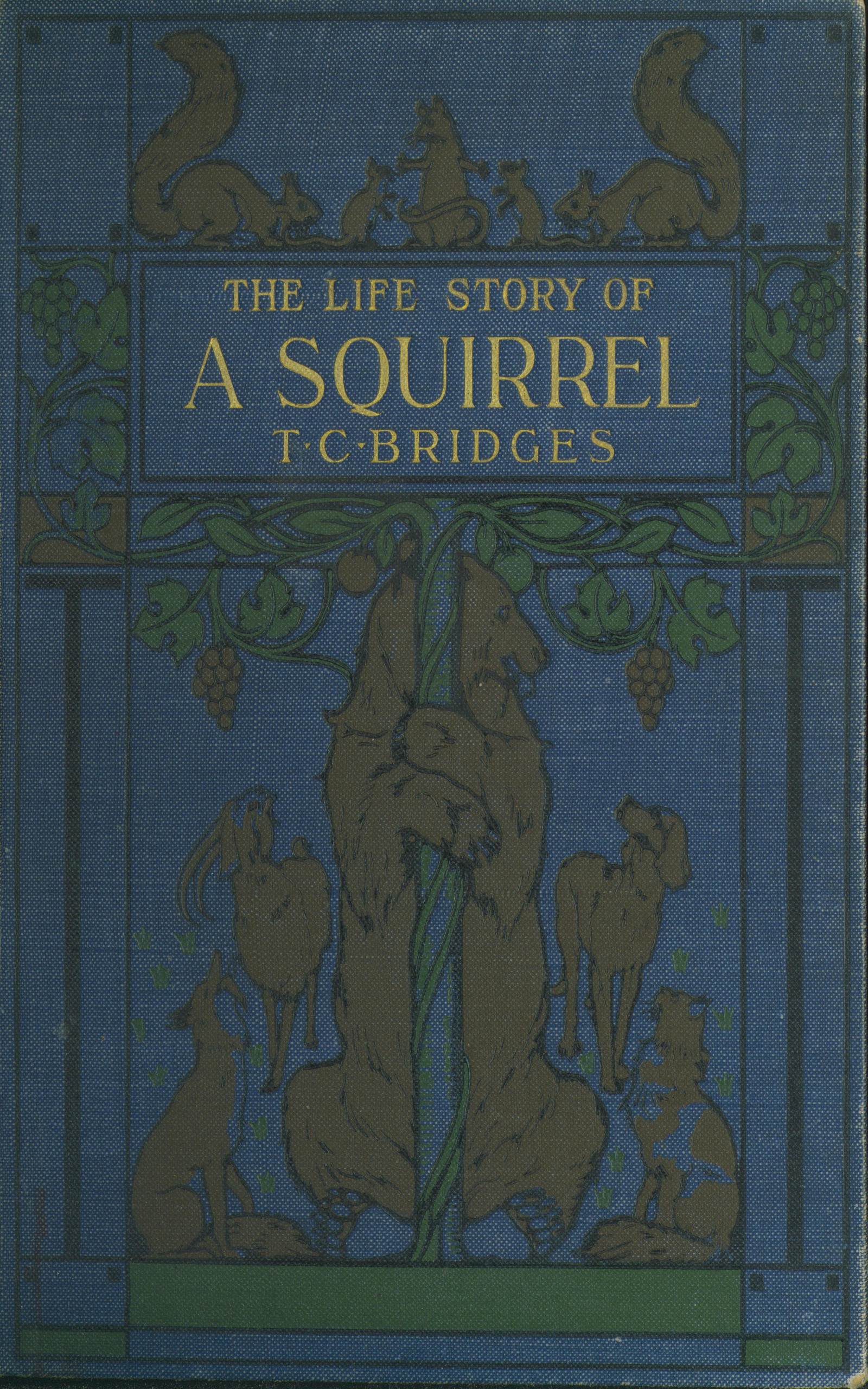 The life story of a squirrel