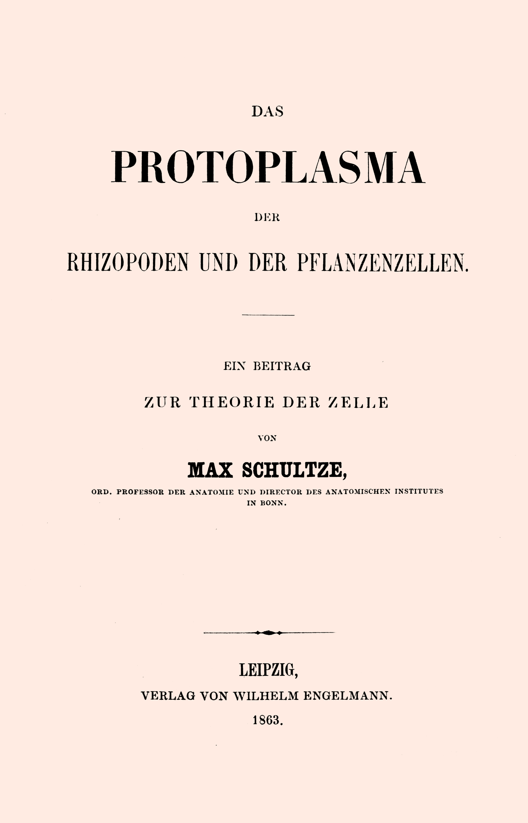 Das Protoplasma der Rhizopoden und der Pflanzenzellen
ein Beitrag zur Theorie der Zelle